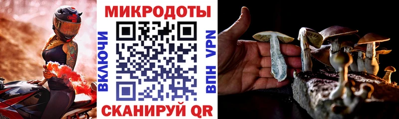 Псилоцибиновые грибы GOLDEN TEACHER  как найти наркотики  Иланский 