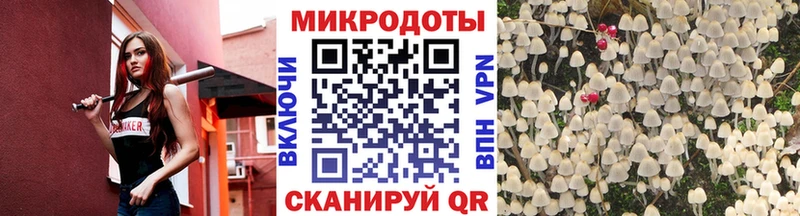Галлюциногенные грибы Psilocybine cubensis Иланский